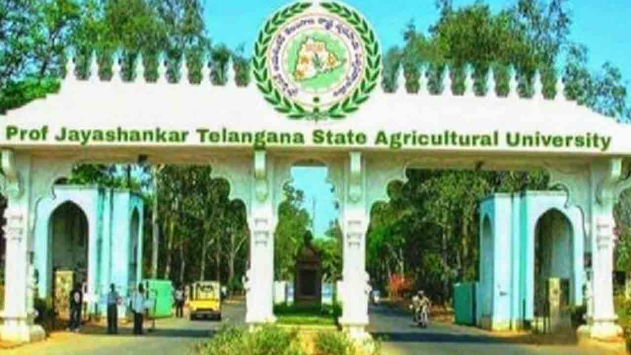 14 ఏండ్ల తర్వాత ‘అగ్రి’వర్సిటీలో నియామకాలు