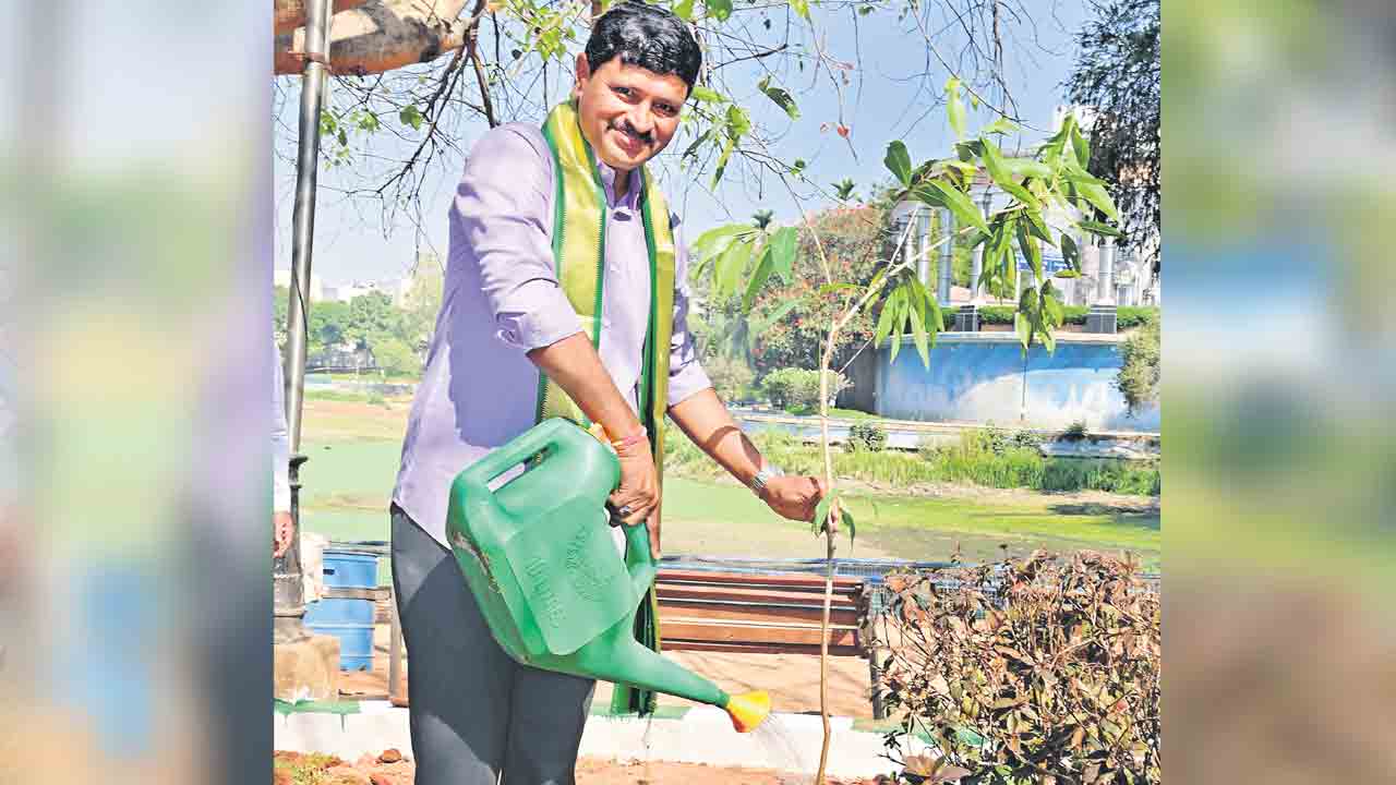 హరిత ప్రేమికుడు కేసీఆర్‌