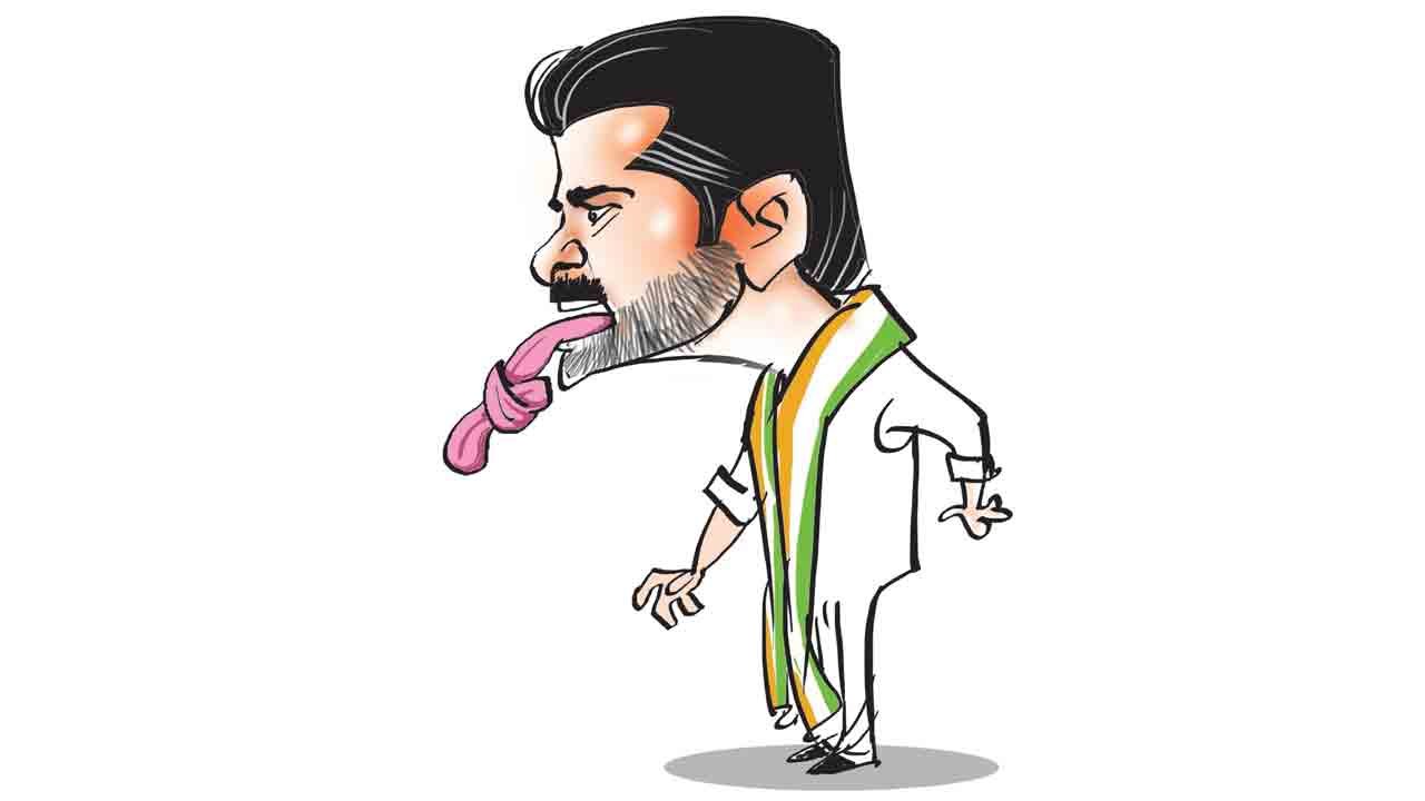 తెలంగాణను పడగొట్టకుంటే చాలు!