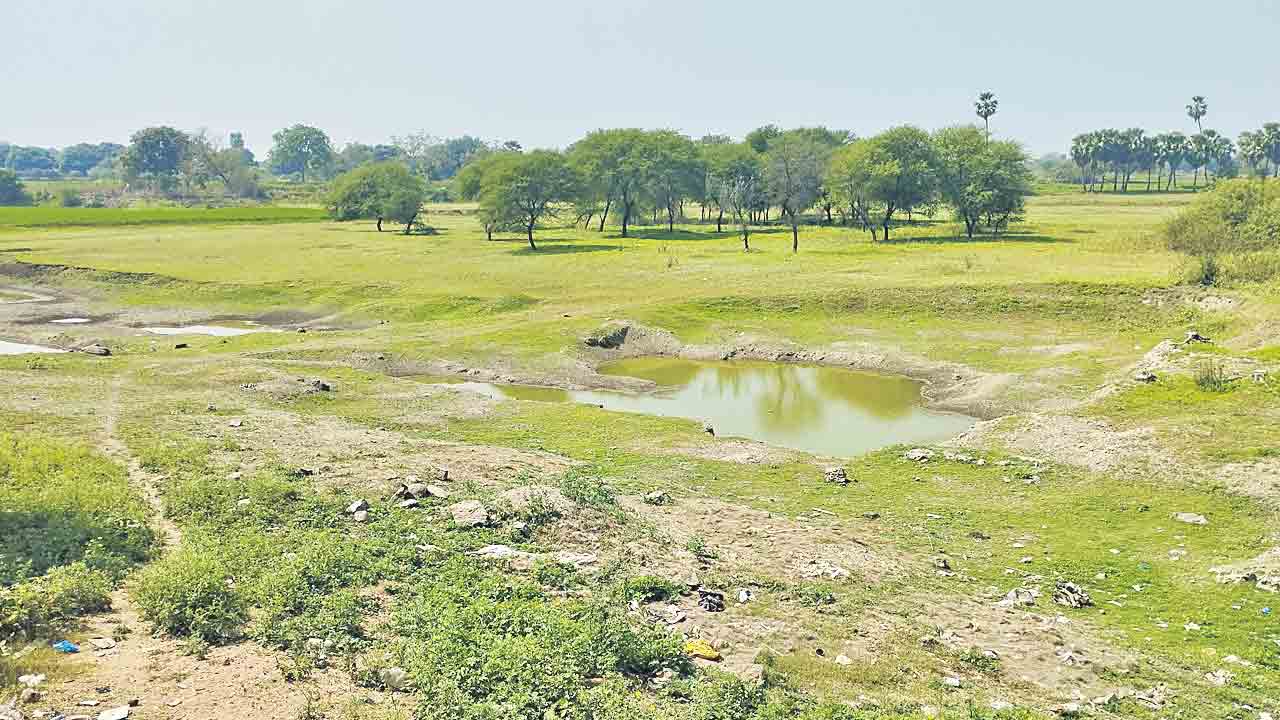 Telangana | పారని కాల్వలు.. అందని సాగునీరు.. ఎండుతున్న పంటలు