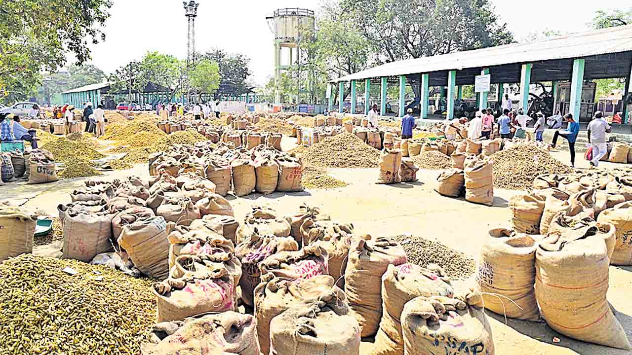 Turmeric Price | పసుపు ధర పతనం.. తీవ్రంగా నష్టపోతున్న అన్నదాతలు!