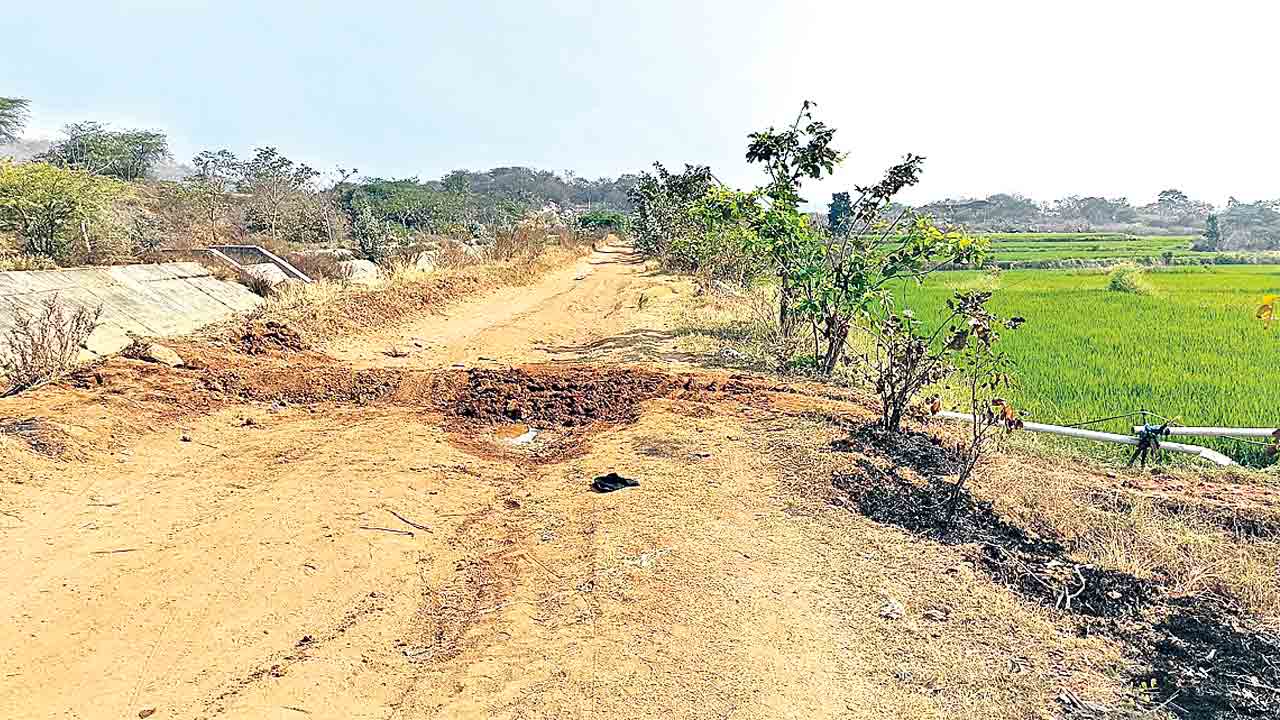 పంపింగ్‌ చేస్తేనే పంటలు బతుకుతయ్‌