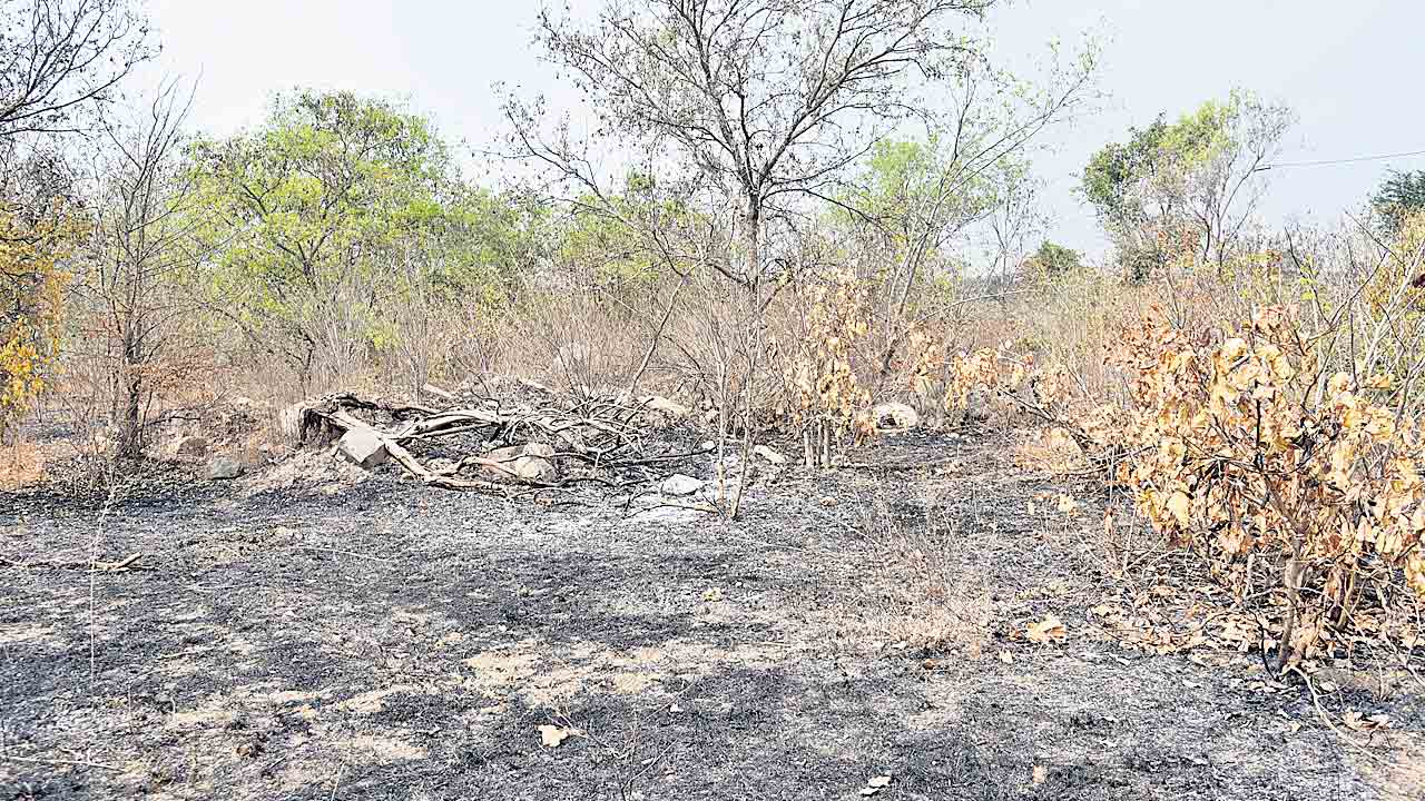 పల్లెగతి అస్తత్యస్తం