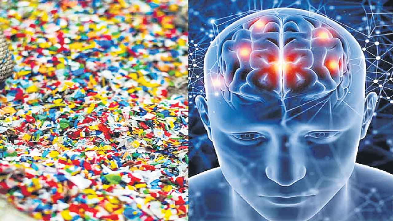 Nano Plastics | మన మెదళ్లలోకీ నానో ప్లాస్టిక్‌.. కాలేయం, కిడ్నీల్లోనూ తిష్ట వేస్తున్నాయ్‌!