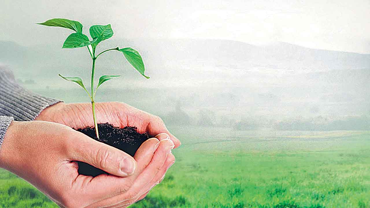 Vruksharchana | కేసీఆర్‌ 71వ పుట్టినరోజు.. పుడమి పులకరించేలా వృక్షార్చన