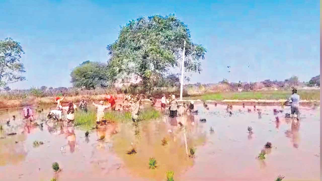 కేసీఆర్‌పై కూలీల అభిమానం