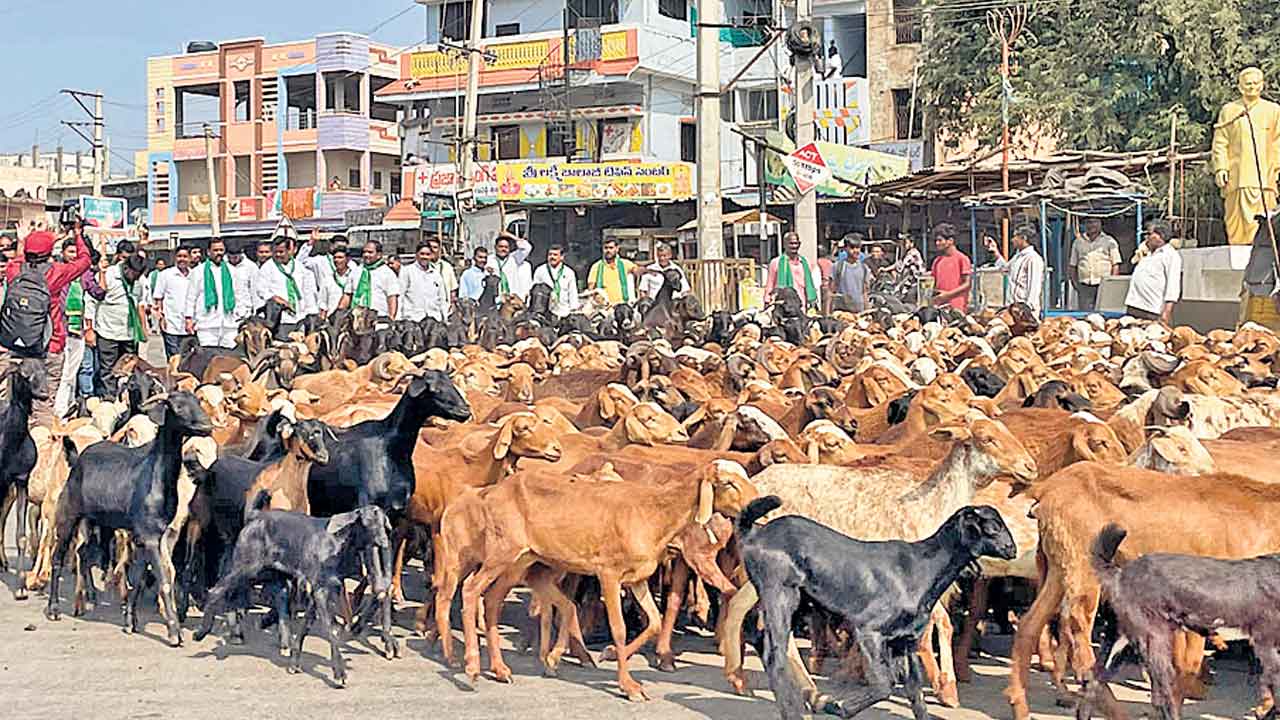 GHMC | జీహెచ్‌ఎంసీ నిర్ణయానికి వ్యతిరేకంగా గొర్రెలతో వినూత్న నిరసన