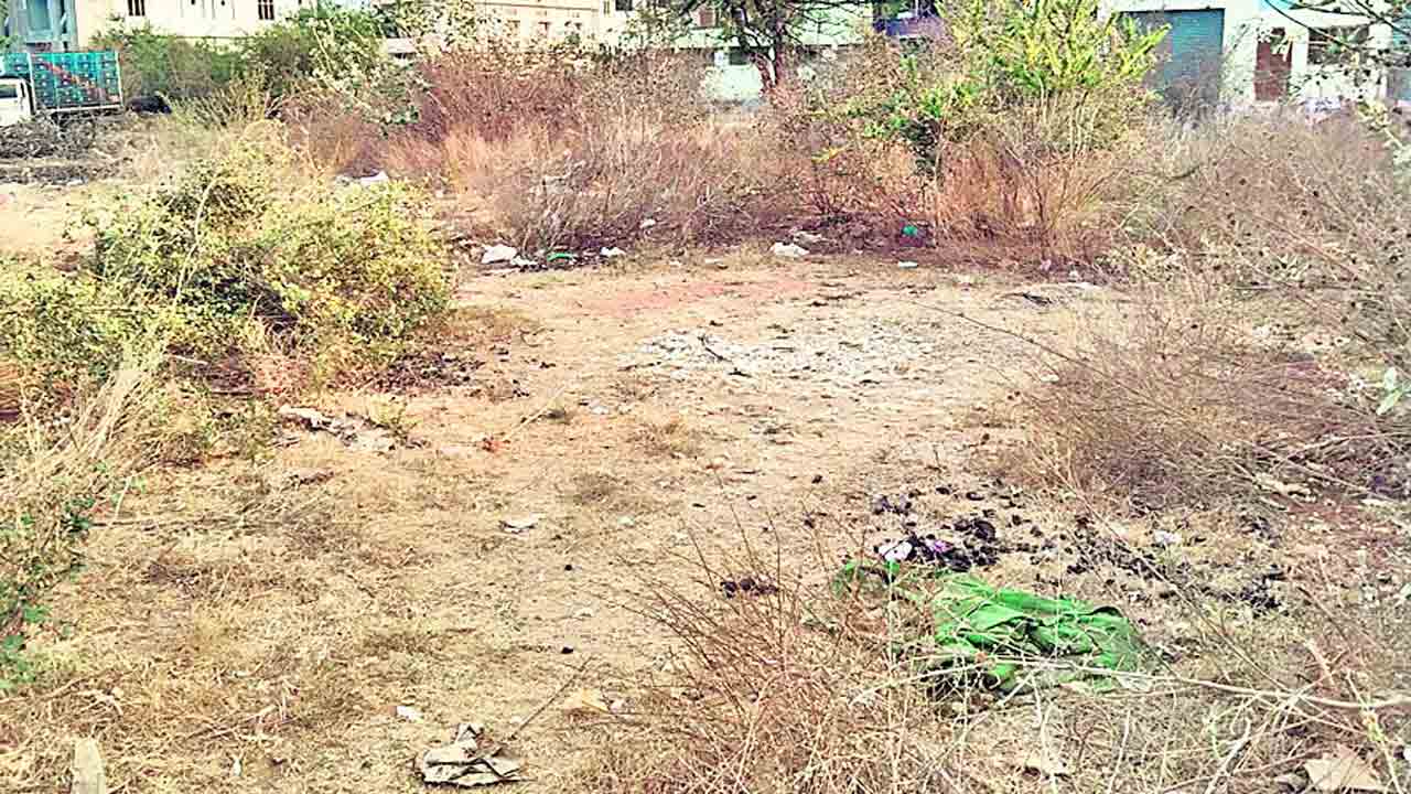 పథకం ప్రకారమే హత్య