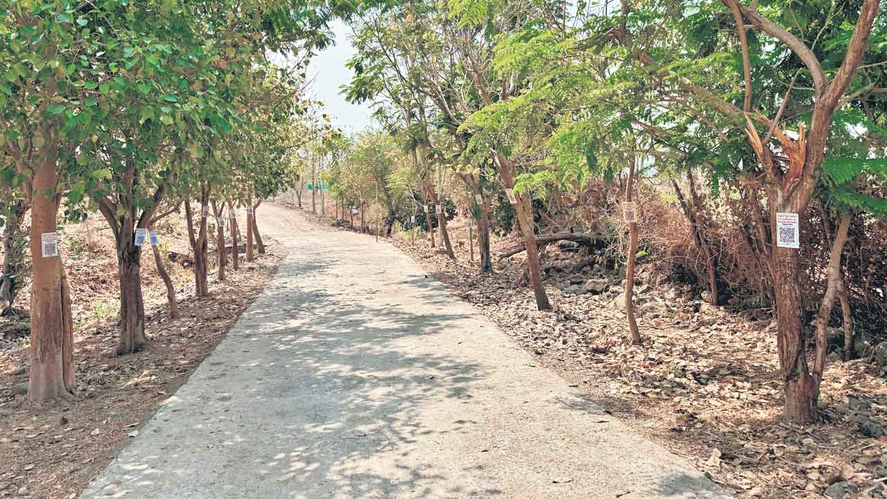 మొక్కలకు ఆధార్‌ నంబర్లు!