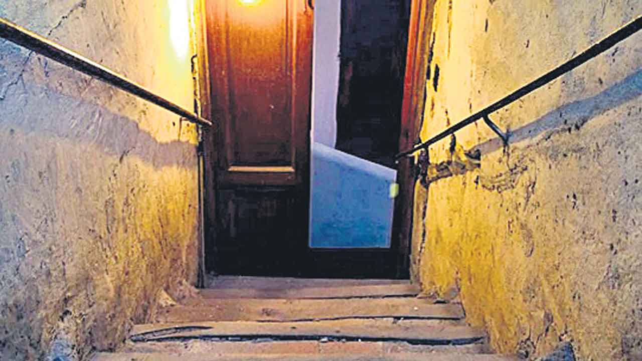 Basement House | రియల్‌ లైఫ్‌ పారాసైట్‌.. ఏడేండ్లుగా ఇంటి బేస్‌మెంట్‌లో రహస్య నివాసం!