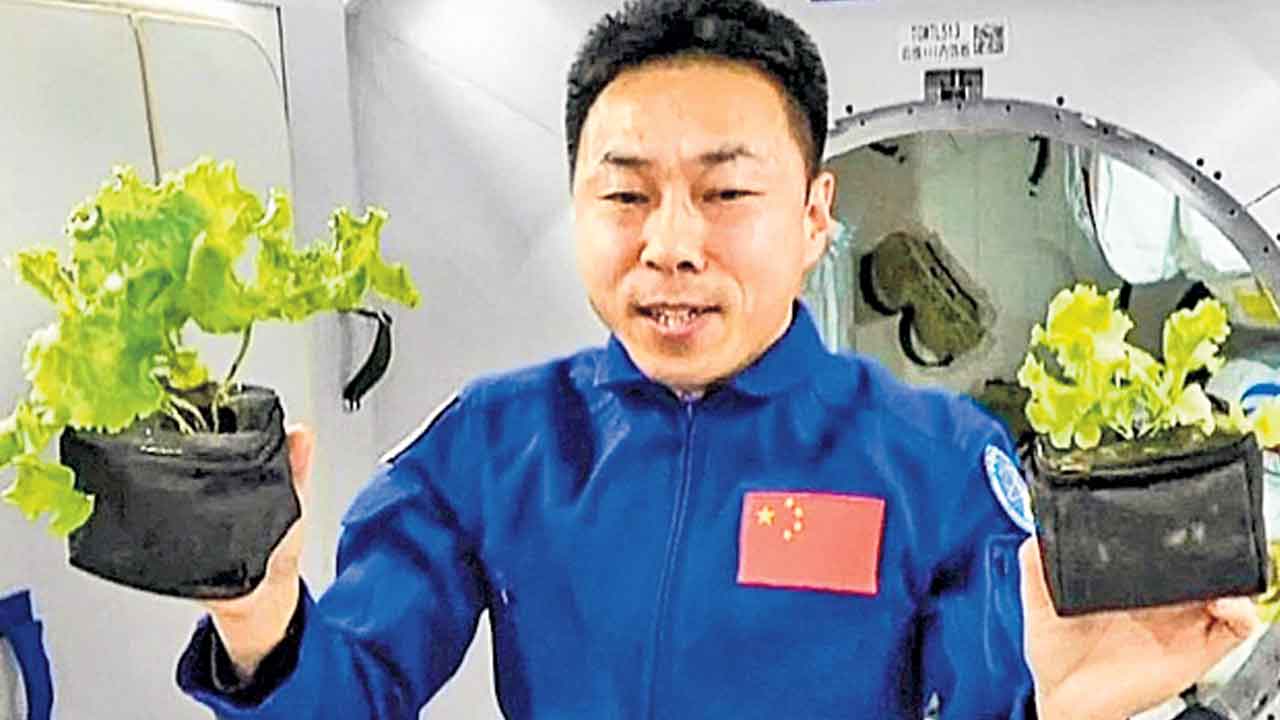 కృత్రిమ కిరణ జన్య సంయోగ క్రియతో రాకెట్‌ ఇంధనం!