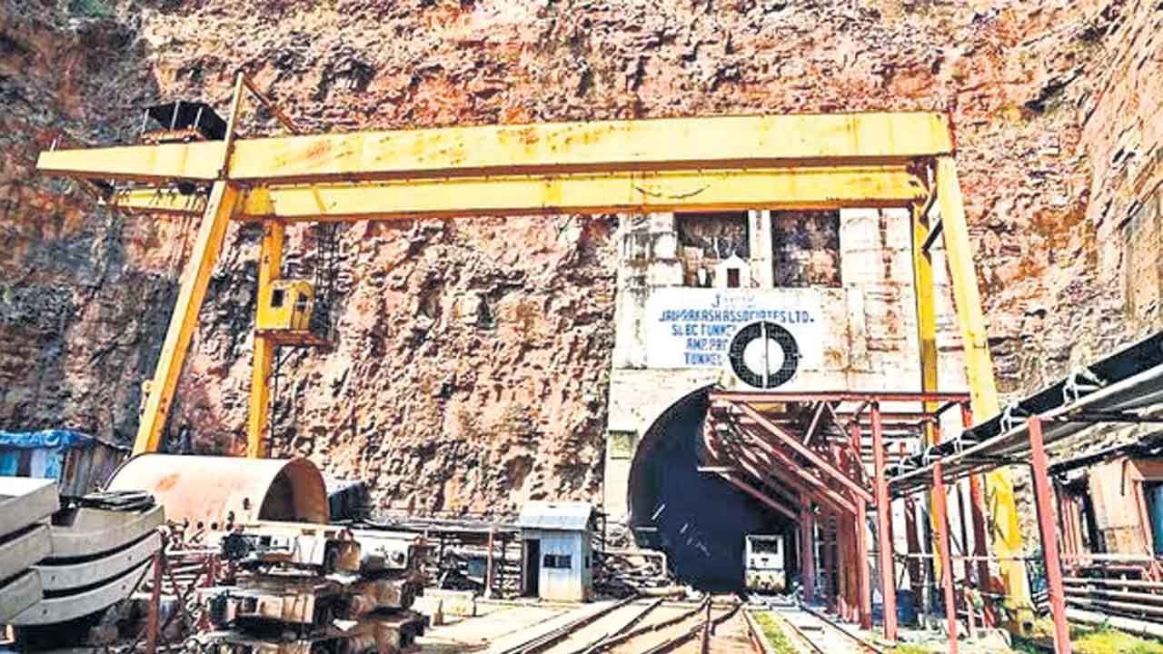 తోక కోసం పాకులాట!