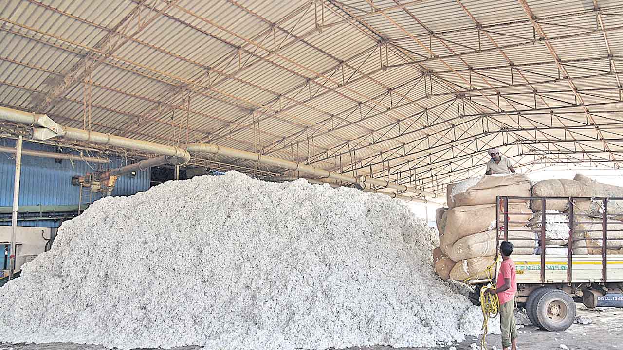 పత్తి రైతు విలవిల 