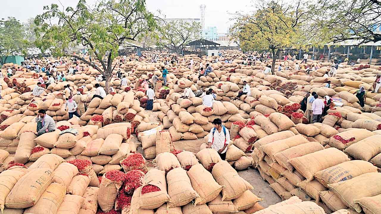 పోటెత్తిన ఎర్రబంగారం