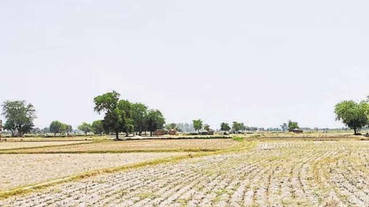 Industrial Park | ఇక సీలింగ్‌ భూముల వంతు.. ఇండస్ట్రియల్‌ పార్క్‌కు మరో 198 ఎకరాల సేకరణ!