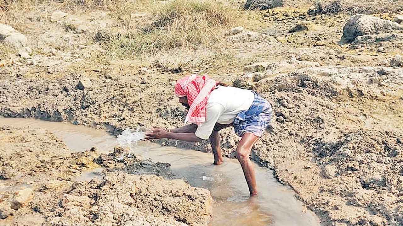 చెలిమె నీరే చేనుకు ఆధారం