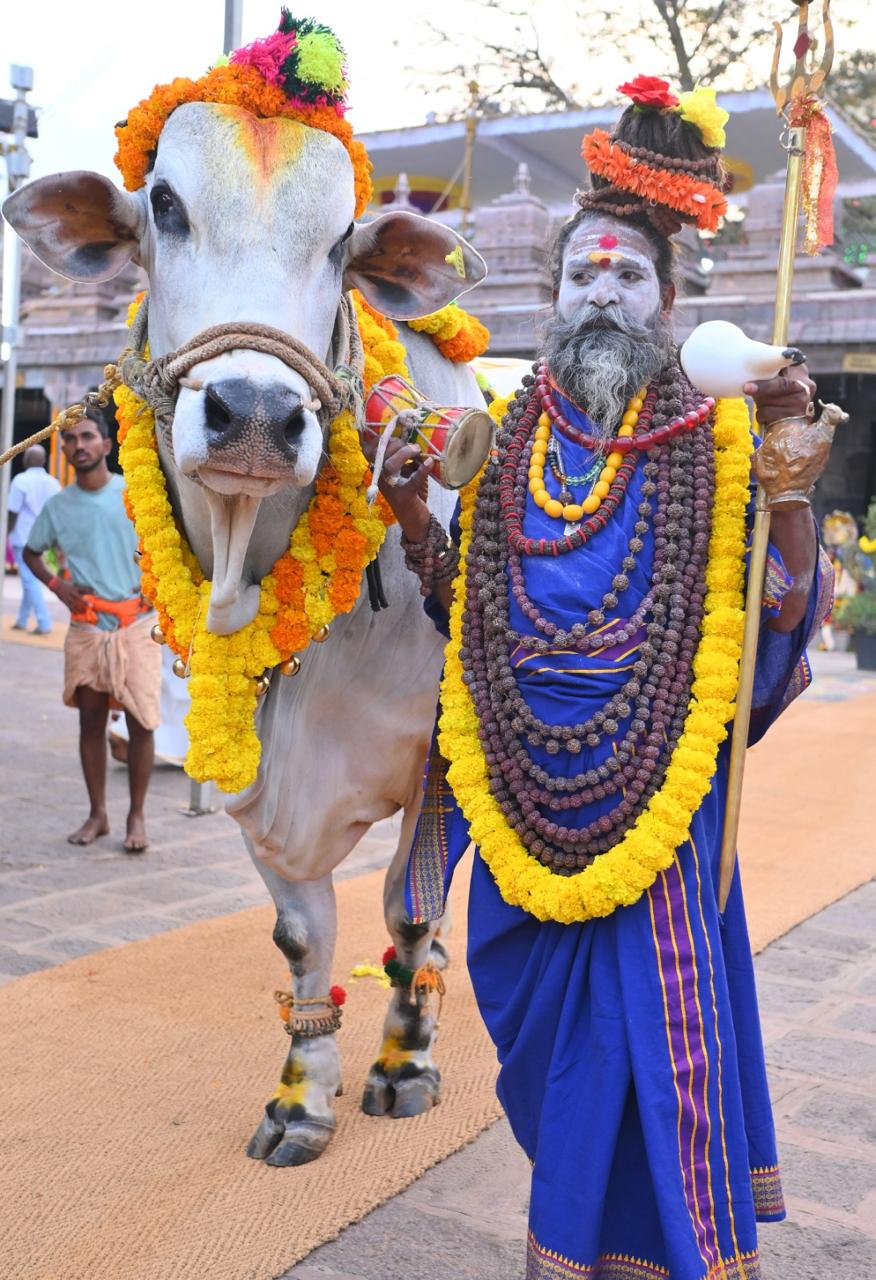 Srisailam maha shivaratri brahmotsavam