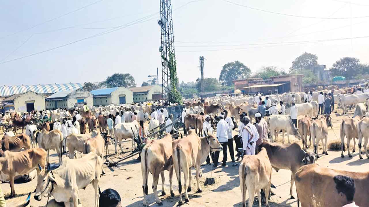 మూగరోదన