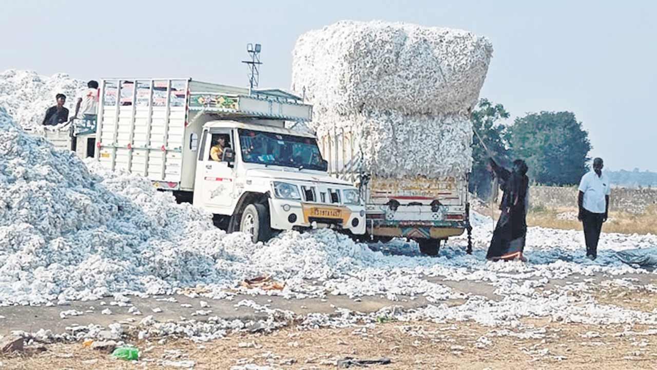 దూది రైతు దుఃఖం
