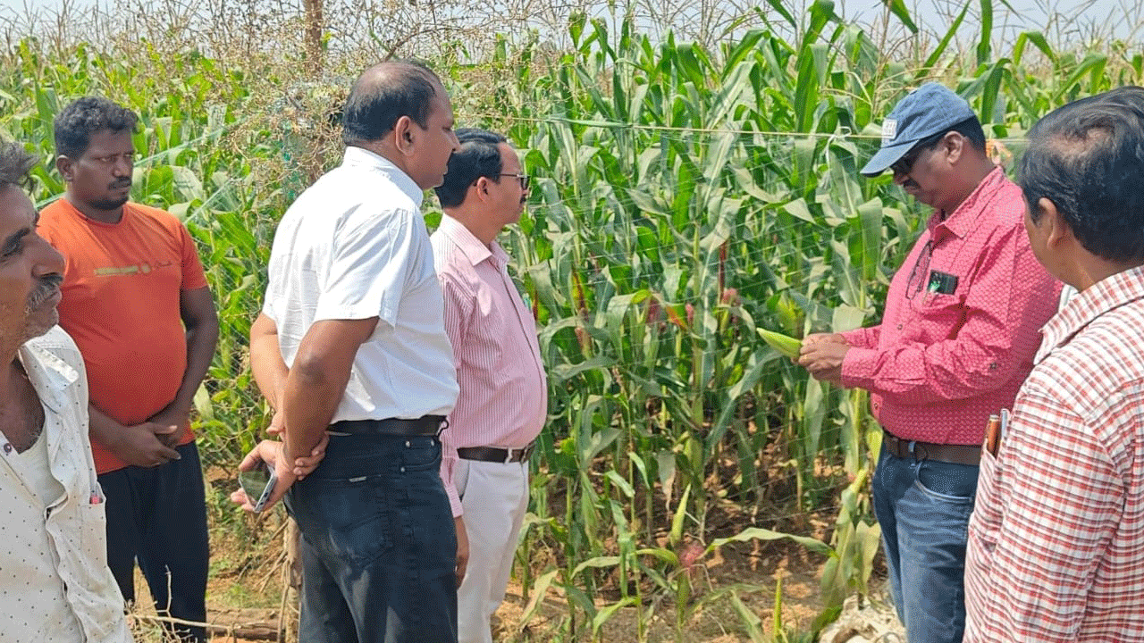 నాలుగు రోజుల్లో సాగర్‌ నీరు