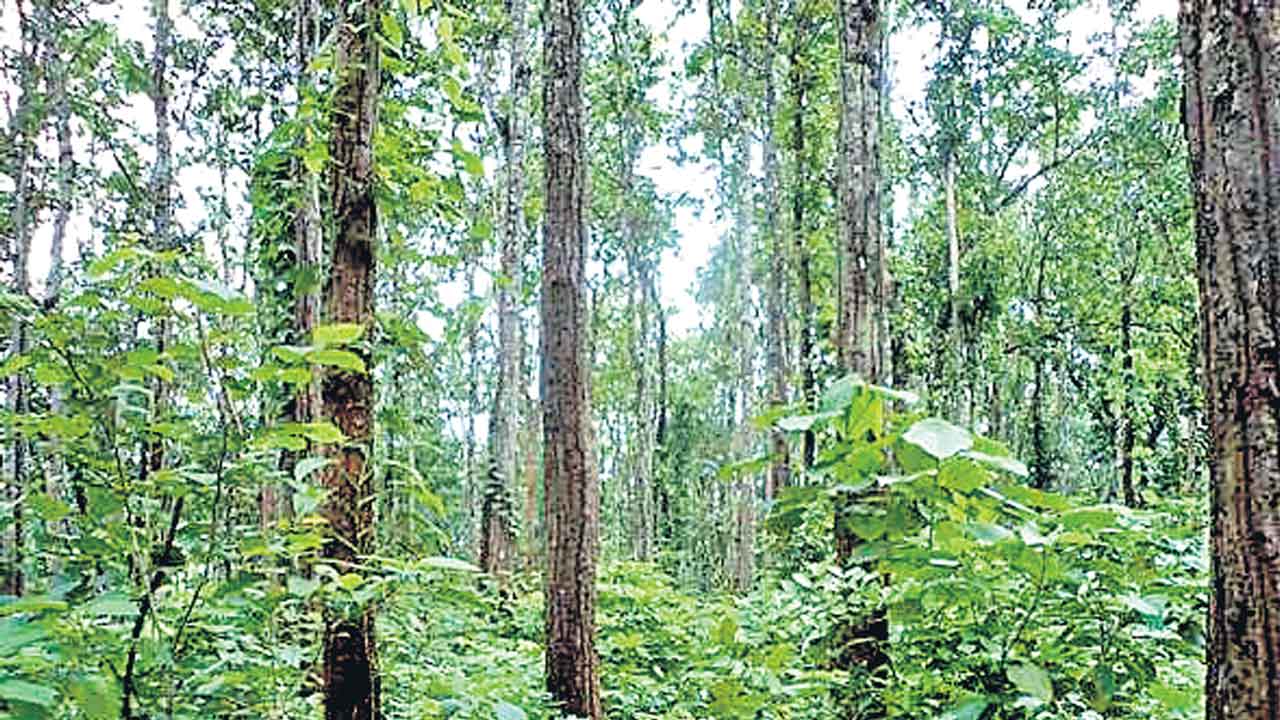 నినాదం కడుపు నింపుతదా?