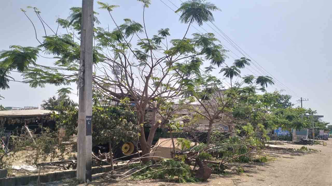 Tree Braches Cutting | విద్యుత్‌ అంతరాయం కలుగకుండా చెట్ల కొమ్మలు నరికివేత