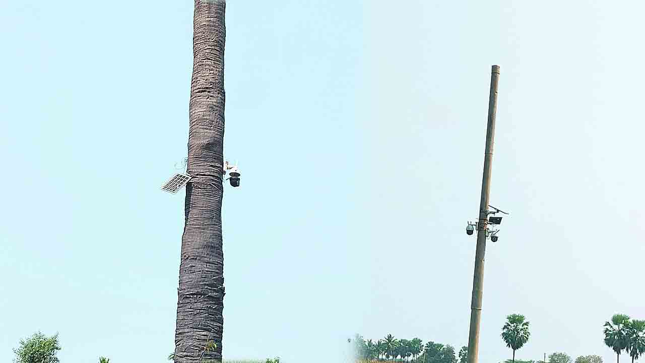 పంట పొలాల్లో సీసీ కెమెరాలు