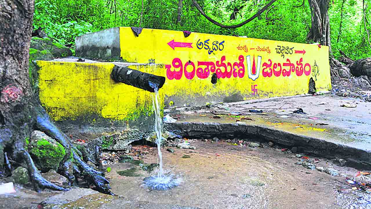ప్రకృతి ప్రసాదం.. చింతామణి ధార