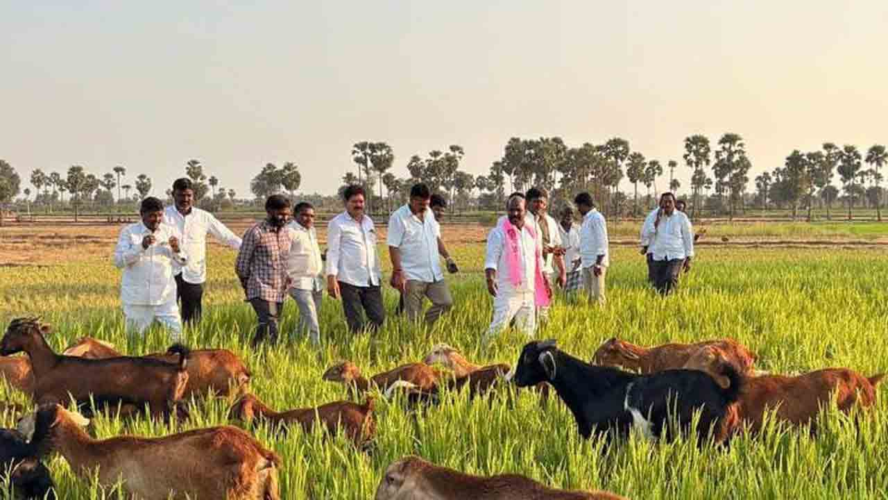 ప్రభుత్వ చేతగాని తనంతో కరువు పరిస్థితులు