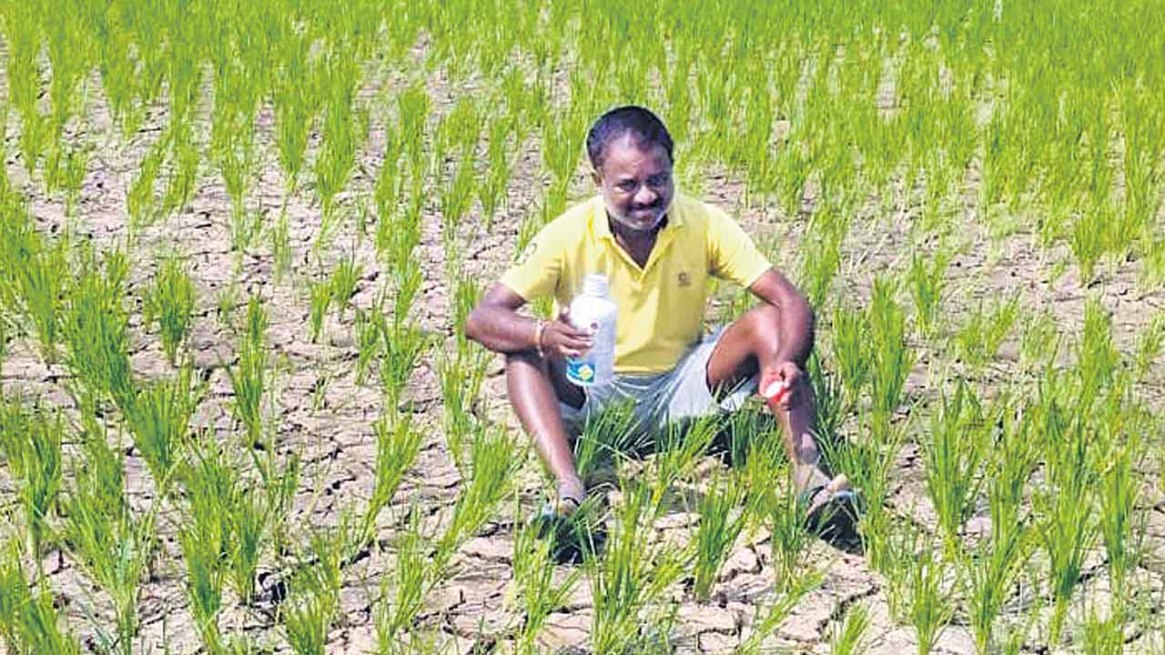 పొలంలోనే రైతు ఆత్మహత్యాయత్నం