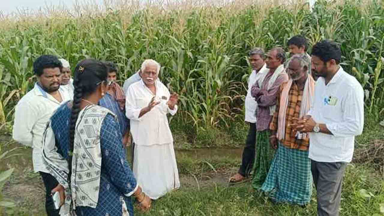 Corn Crop Farmers  | రెండు రోజుల్లో నీరు బంద్ చేస్తే ఎలా.. రైతుల ఆవేదన