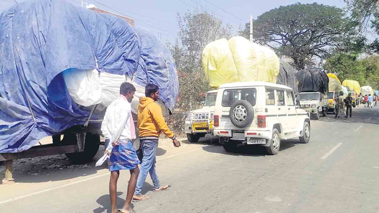 పత్తి రైతు పాట్లు