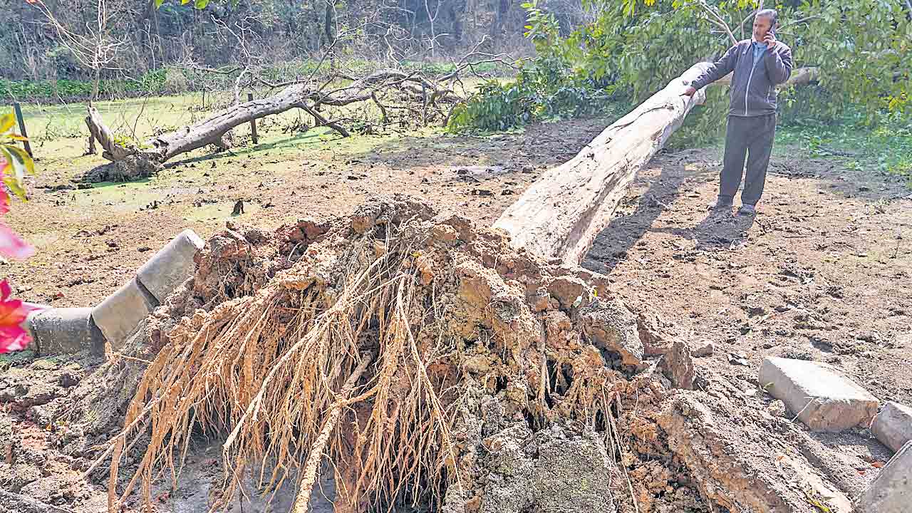 ఢిల్లీలో భూకంపం