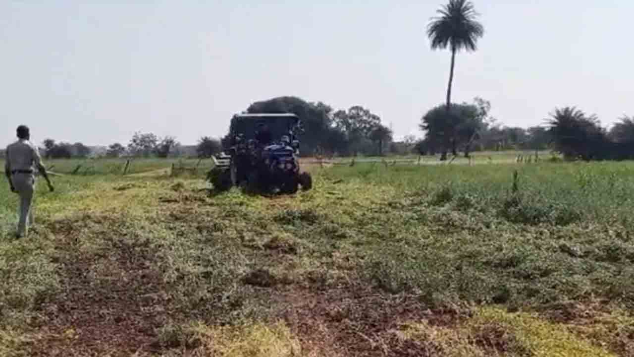 Farmer Collapses | ట్రాక్టర్లతో పంటను నాశనం చేసిన అధికారులు.. కుప్పకూలిన రైతు