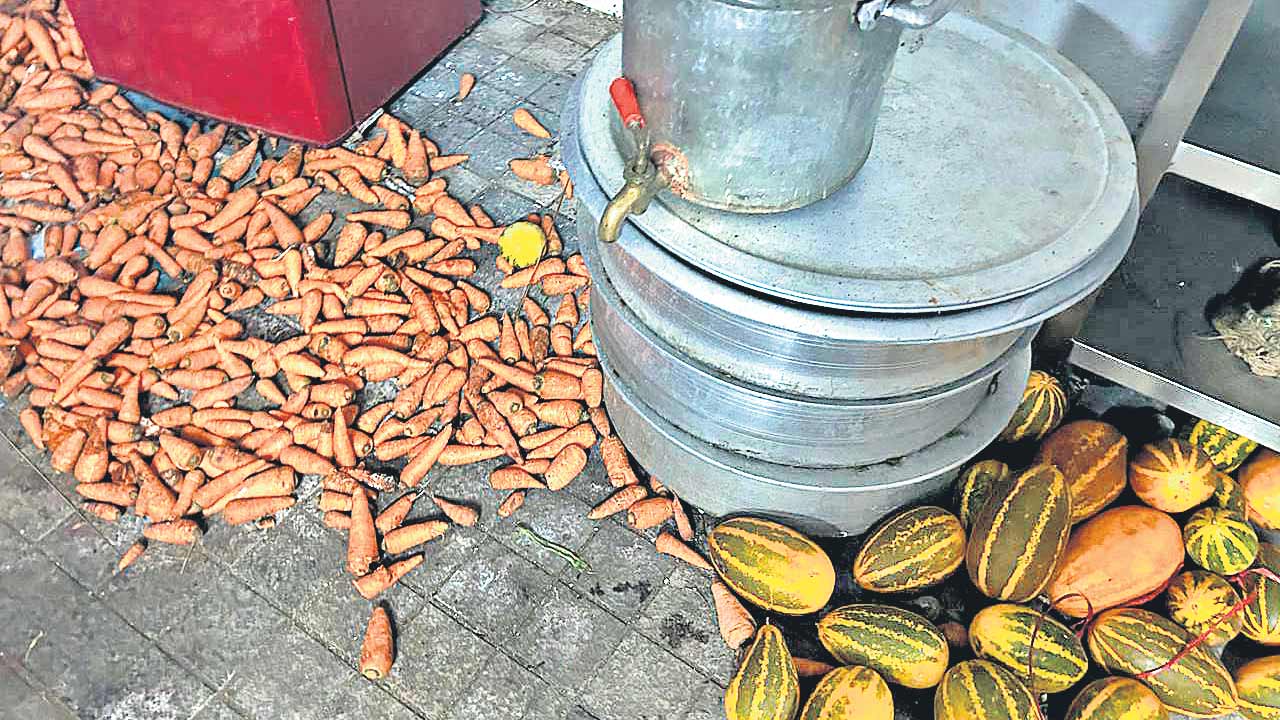 బొద్దింకలు..కుళ్లిన కూరగాయలు