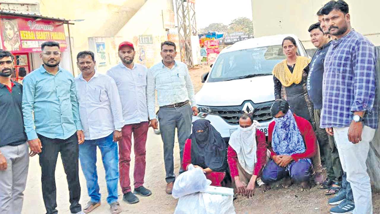 14 కిలోల గంజాయి పట్టివేత