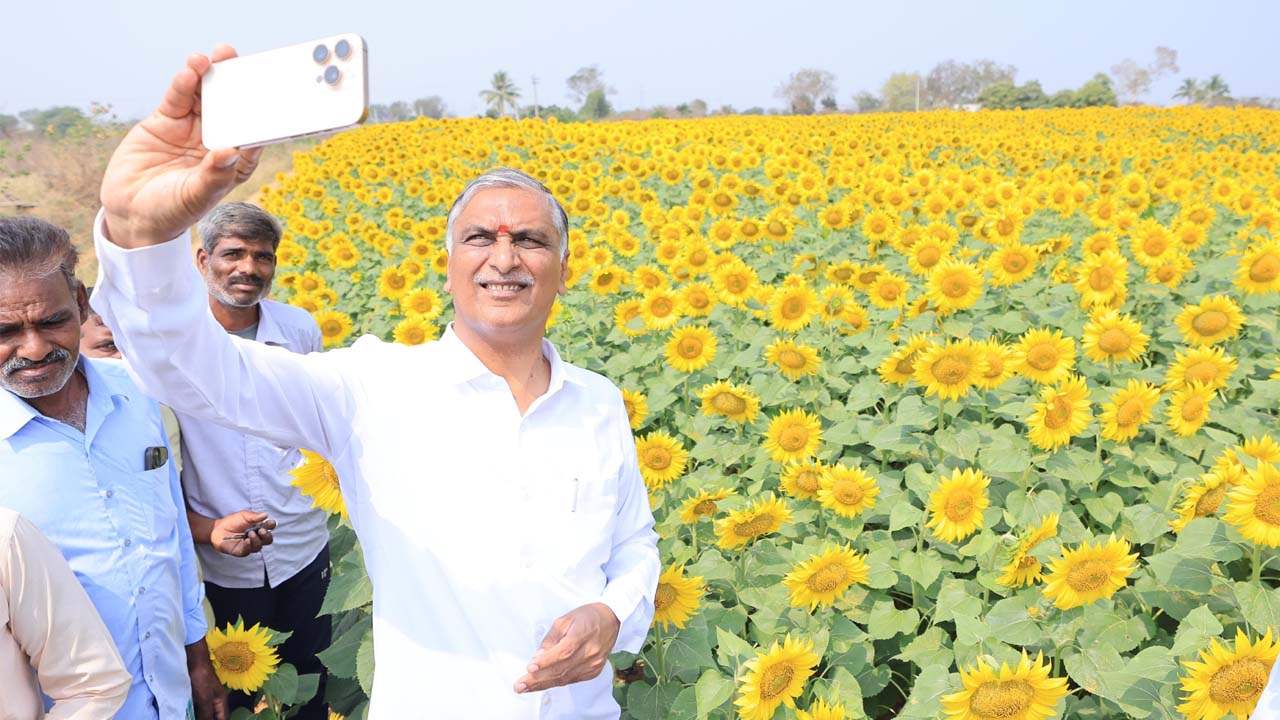 Harish Rao | పరవళ్లు తొకుతున్న కాళేశ్వర జలాలు.. పంటలను చూసి పరవశించిన హరీశ్‌రావు