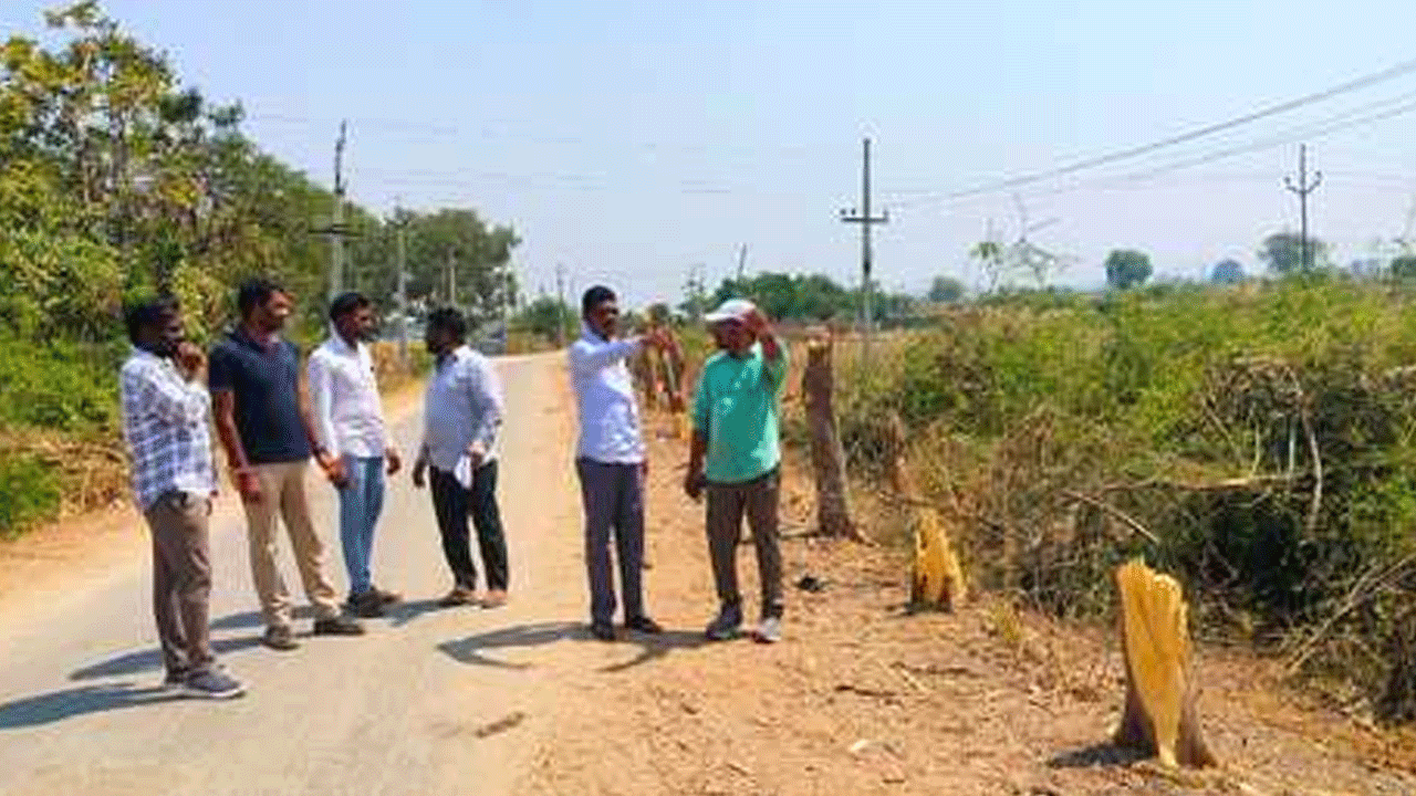 DLPO | హరితహారం చెట్లను నరికివారిపై చర్యలు : డీఎల్పీవో