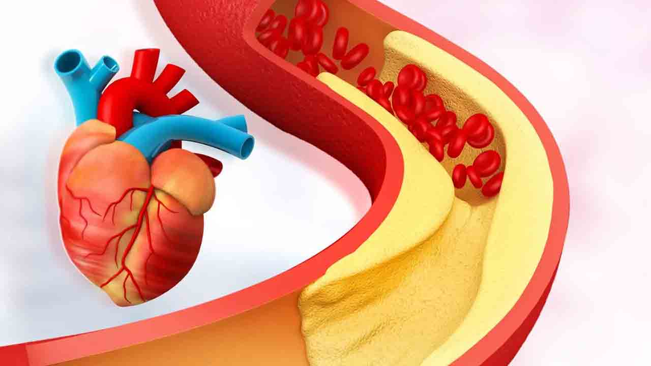 Health tips | రోజూ ఈ గింజలు తింటే కొవ్వు ఐస్‌లా కరిగిపోతుంది తెలుసా..?