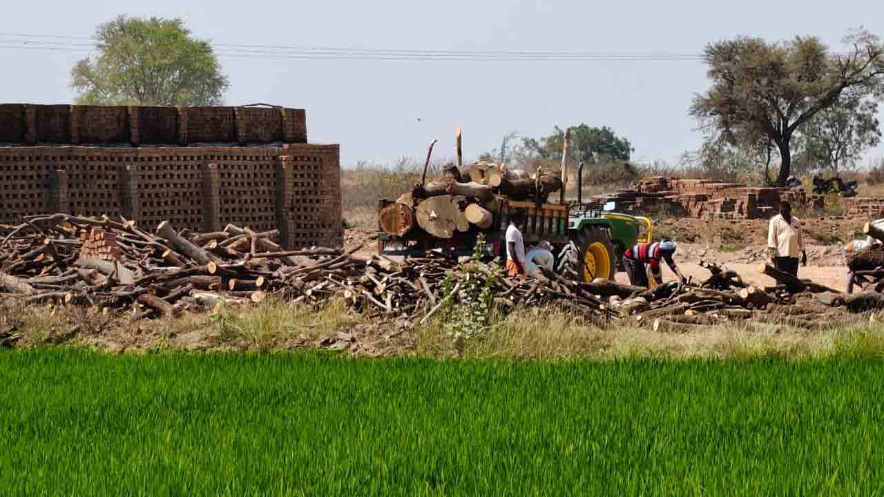 అక్రమ కలపకు అడ్డుకట్ట వేయరా..?