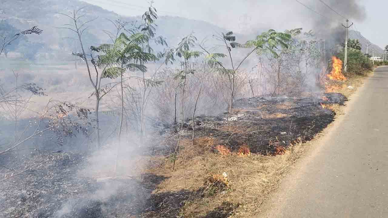 Harithaharam | ఇబ్రహీంపట్నంలో అగ్ని ప్రమాదం.. హరితహారం చెట్లు దగ్ధం