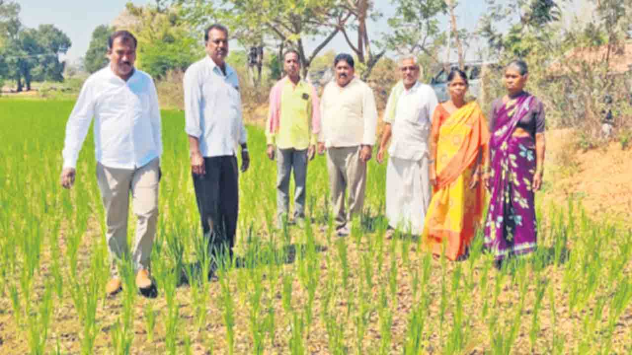 ట్రాన్స్‌ఫార్మర్‌ పాడై.. పొలం ఎండి