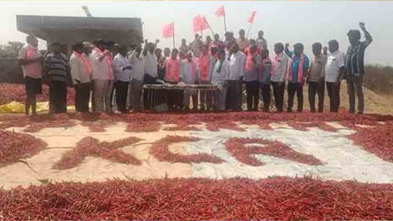 KCR Birthday Celebrations | మిర్చి పంటలో వినూత్నంగా.. గిరిజన తండాలో కేసీఆర్‌ బర్త్‌ డే సెలబ్రేషన్స్‌