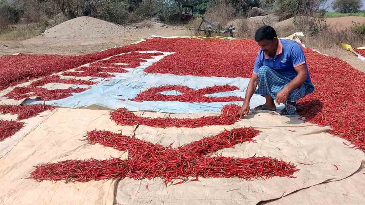 KCR Birthday | పండించిన పంటతోనే.. కేసీఆర్‌కు మిర్చి రైతు వినూత్నంగా జన్మదిన శుభాకాంక్షలు
