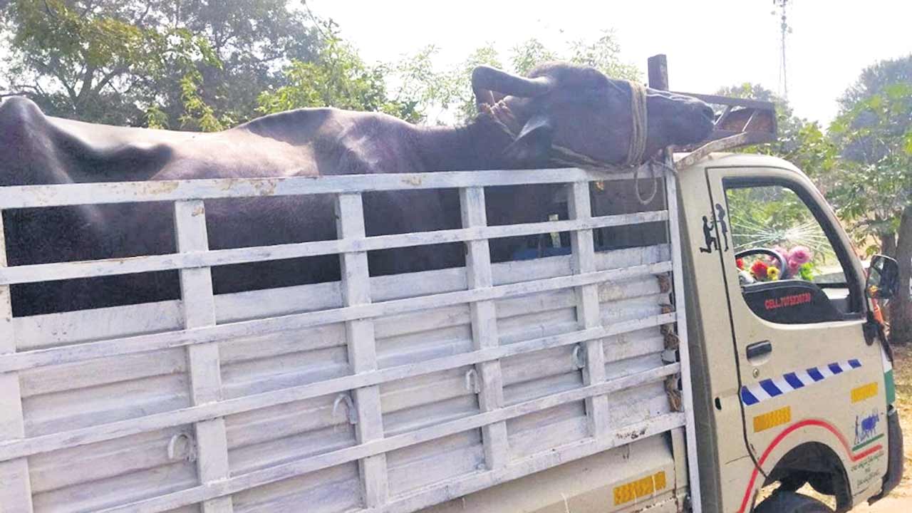 Karimnagar3