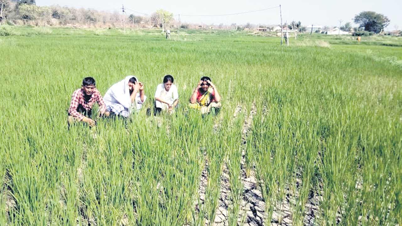 అన్నదాత గుండెకోత