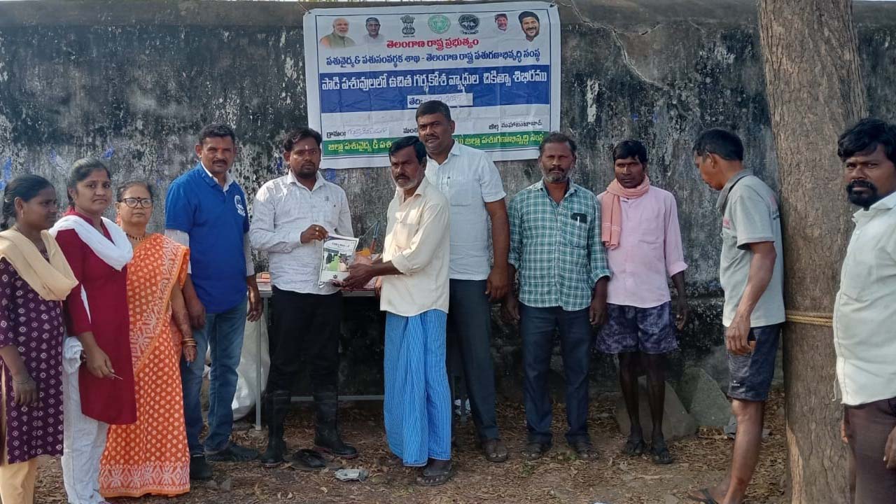 Kuravi | కురవిలో ఉచిత పశువైద్య శిబిరం