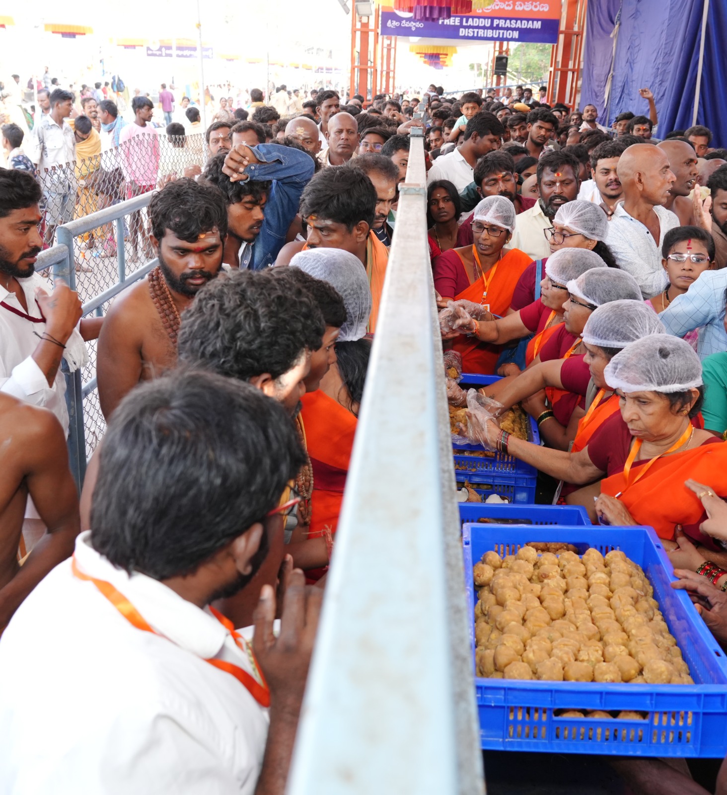 Laddu Prasadam
