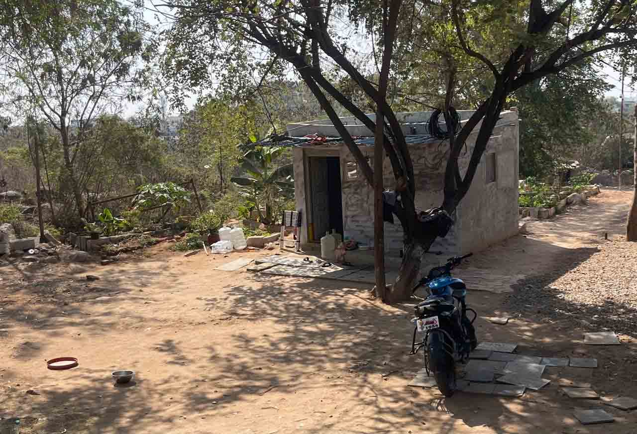 Land Grabbing 2