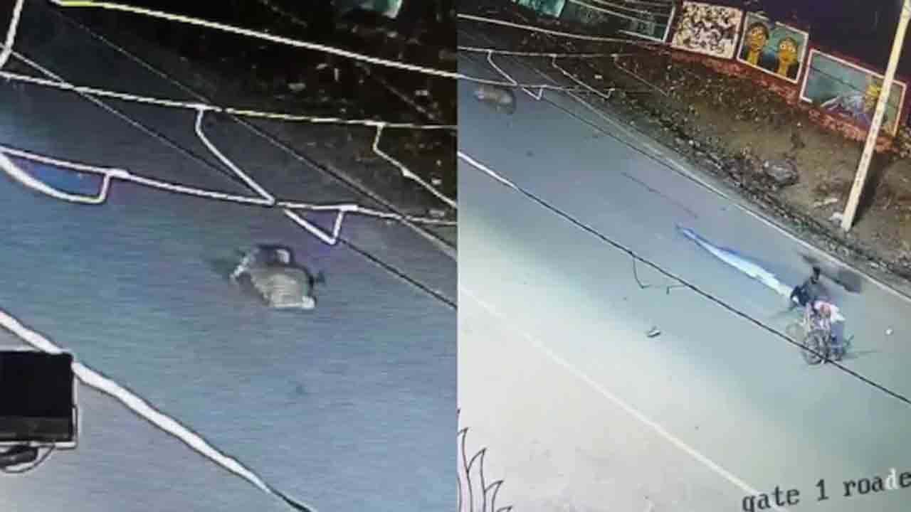 Watch: రోడ్డు దాటుతూ పాల వ్యక్తిని ఢీకొట్టిన చిరుత.. తర్వాత ఏం జరిగిందంటే?